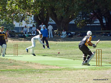 Cricket - Nouvelle-Zélande